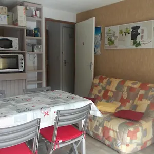 Le Grand Schuss T2 Pied Des Pistes Appartement Saint-Lary-Soulan